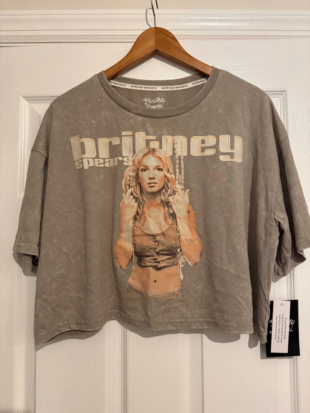Britney Spears Graphic Crop Tee - Gray